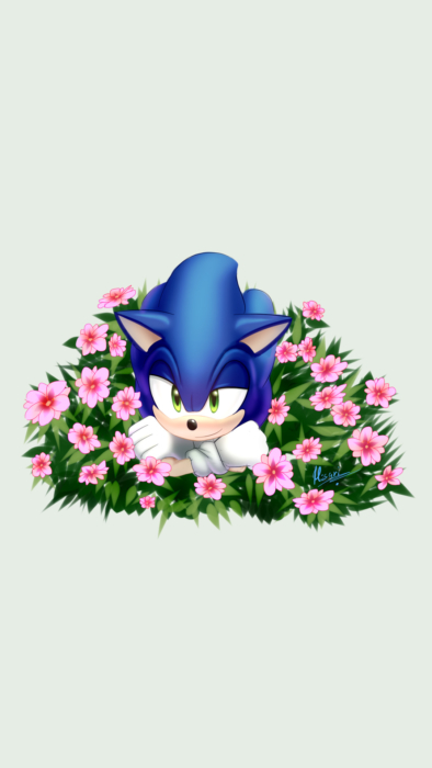 Sonic The Hedgehog fonds d'écran de téléphone HD, 4K