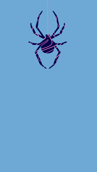 Spider Phone Wallpapers 2k And 4k