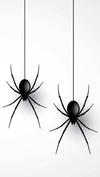 Tapety na mobil pavouků 2k a 4k