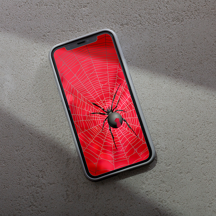 蜘蛛のスマートフォンの背景。2kと4k