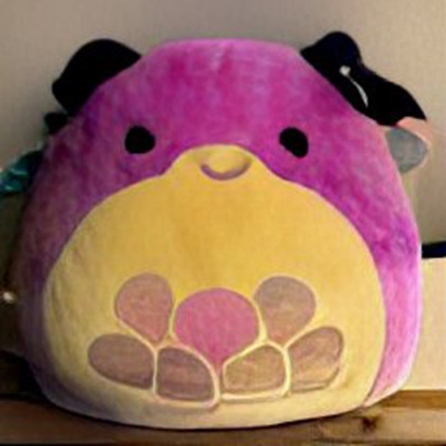 Squishmallows of the Fall 2022 Pictures - What They Will Look Like?
