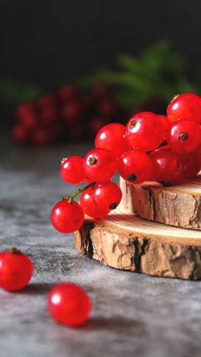 Beeren Handy-Hintergründe - 100 Bilder 2k oder 4k