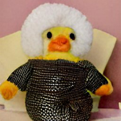 Lalafanfan Duck Dress Ideas - 130 Funny Pictures