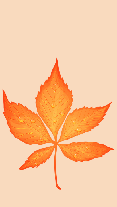 Autumn Phone Wallpapers - 120 Pictures of The Fall 2k and 4k