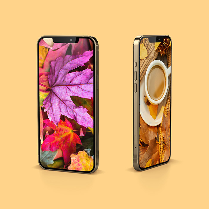秋のスマートフォンの背景 - 120枚の写真2kおよび4k