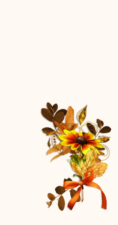 Podzimní květiny tapety na mobil 2k, 4k zdarma