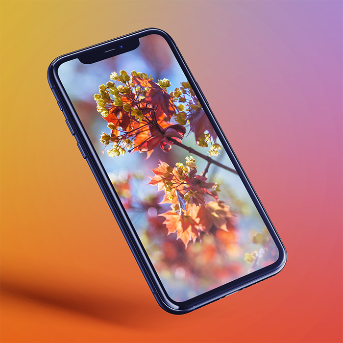 Fundos de tela para celular de flores de outono 2k, 4k