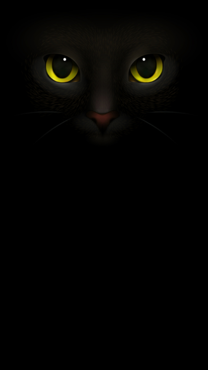 Black Cat Phone Wallpapers 2k-4k For Free