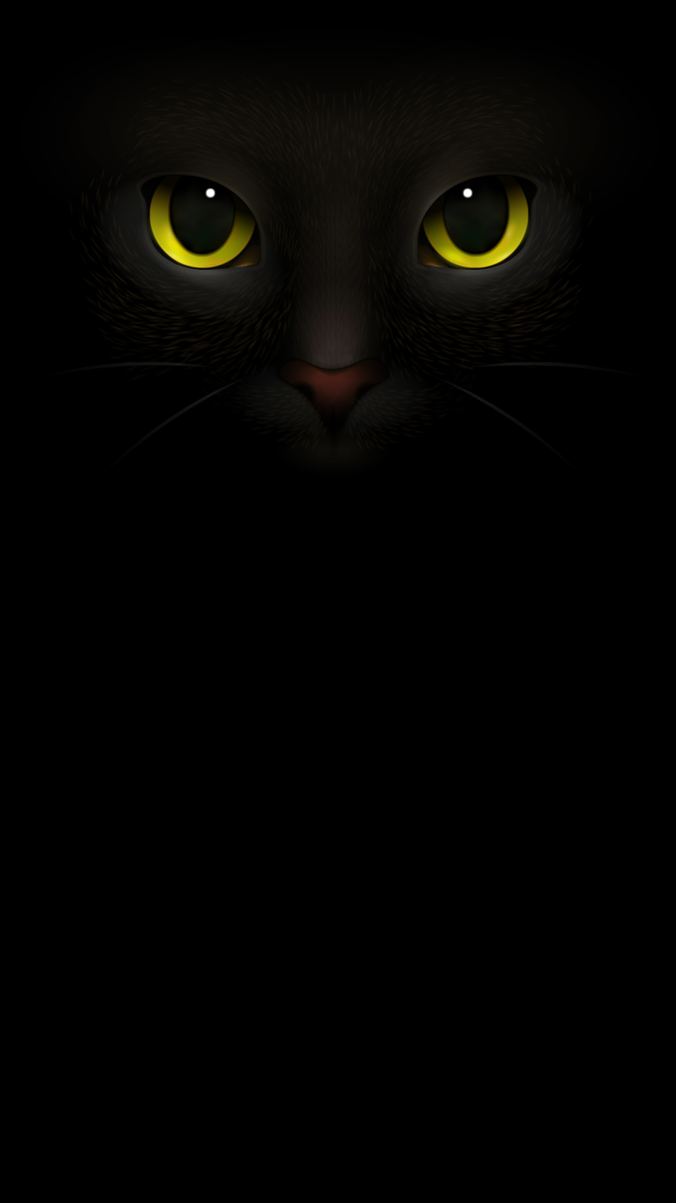black-cat-phone-wallpaper-thypix-30