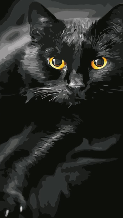 Black Cat Phone Wallpapers 2k-4k For Free