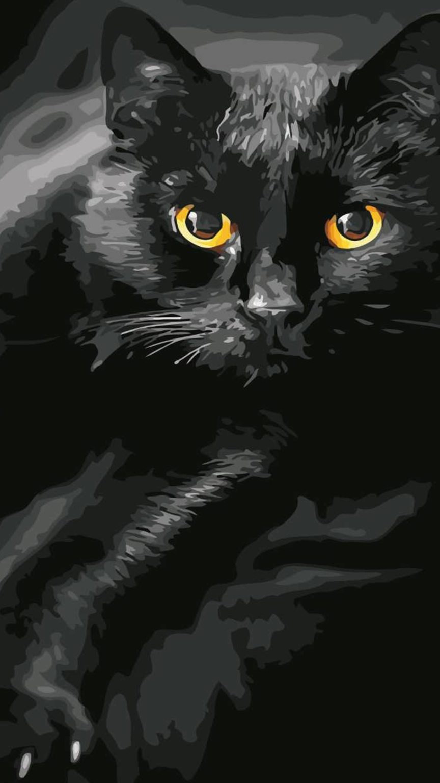 Алмазная вышивка черный кот