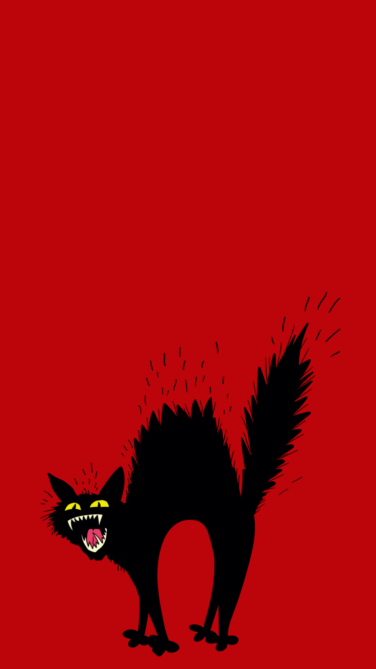 Fondos de pantalla celular de gatos