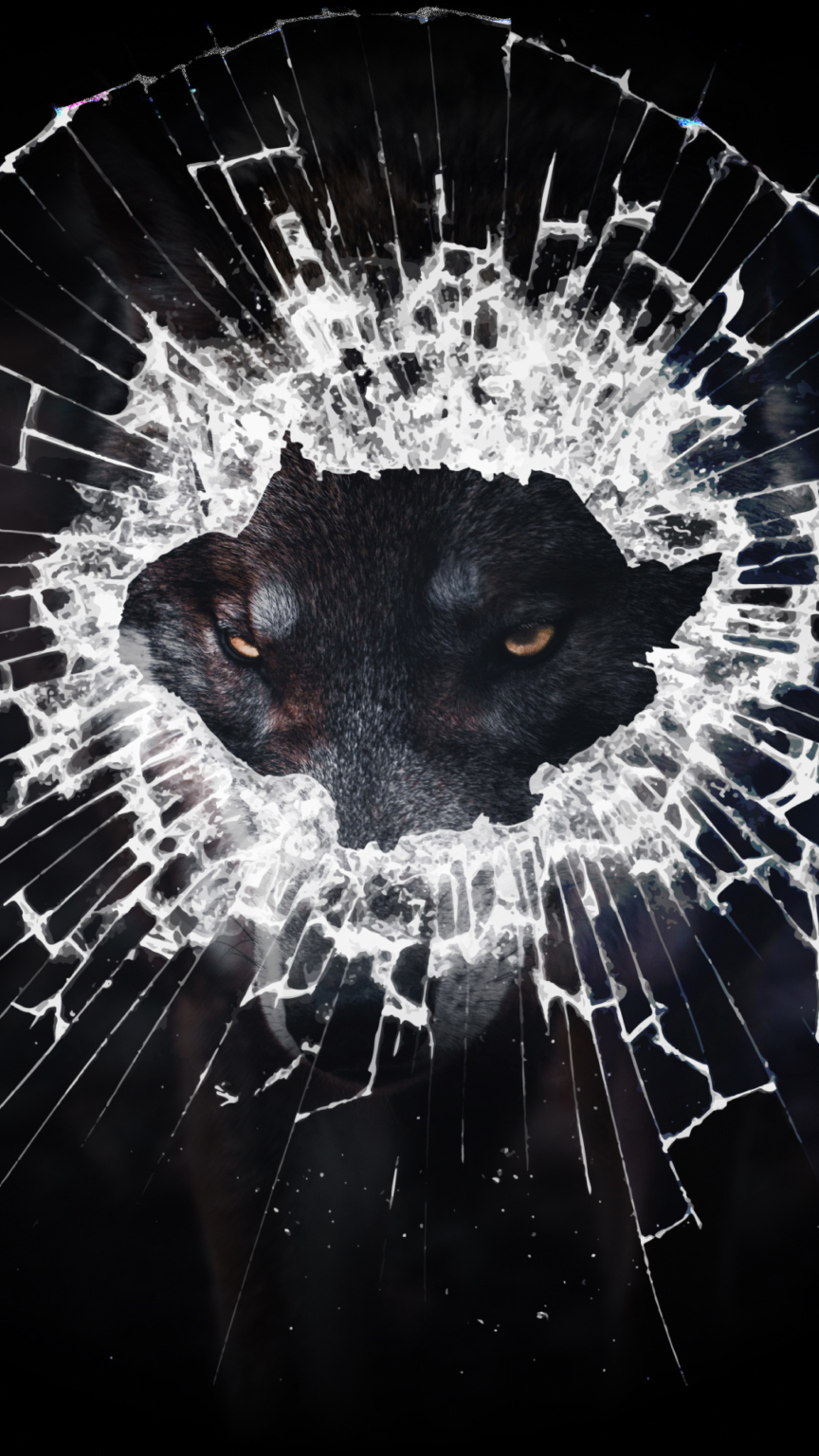 Fondo Cel Roto Fondos de pantalla celular rotas 2k, 4k gratis