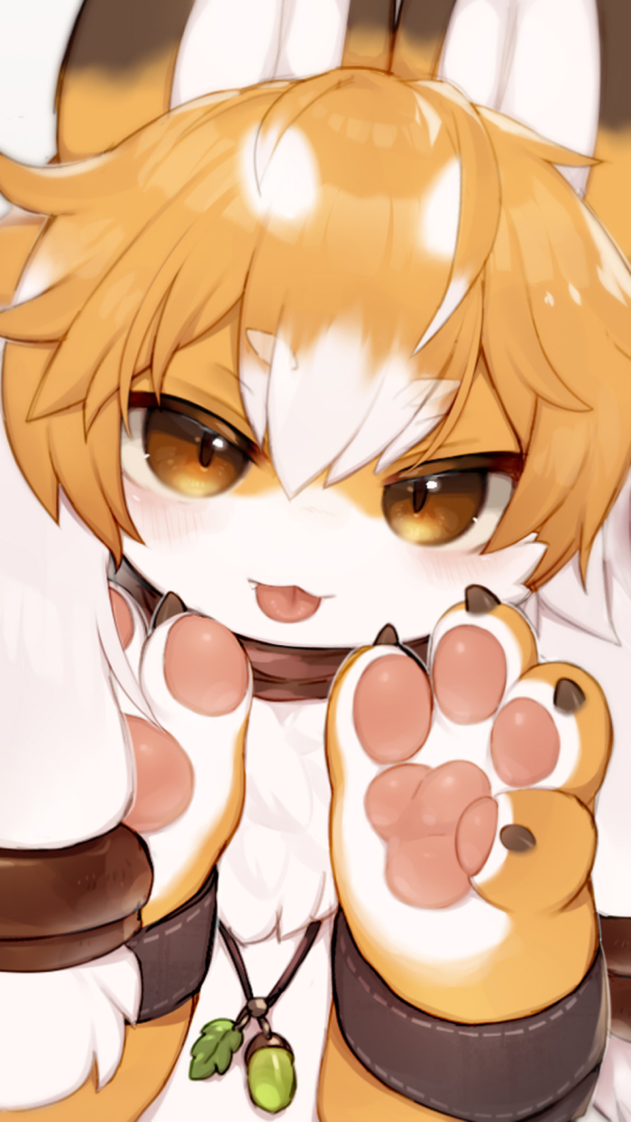 Furry Phone Wallpapers 2k, 4k For Free