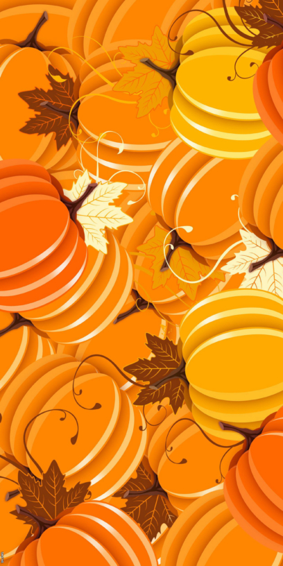 Pumpkin phone wallpapers 2k, 4k for free