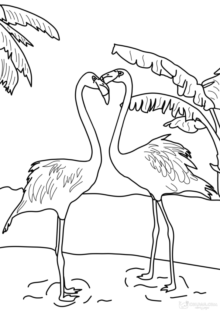 Flamingo Coloring Pages to Print Online