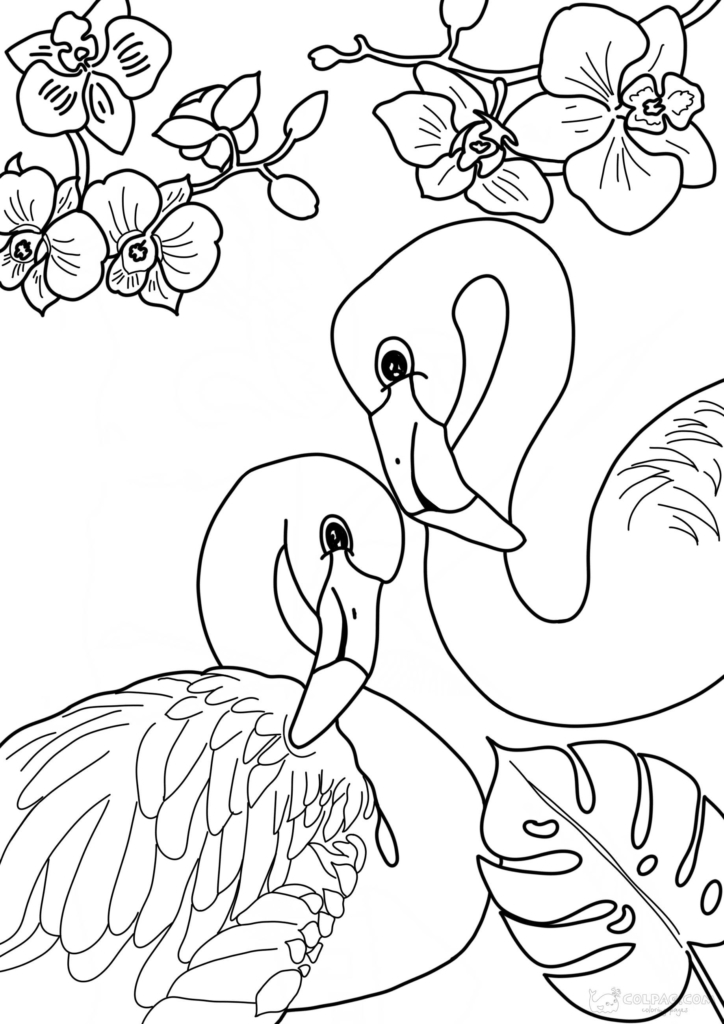 Desenhos do flamingo para colorir e imprimir online