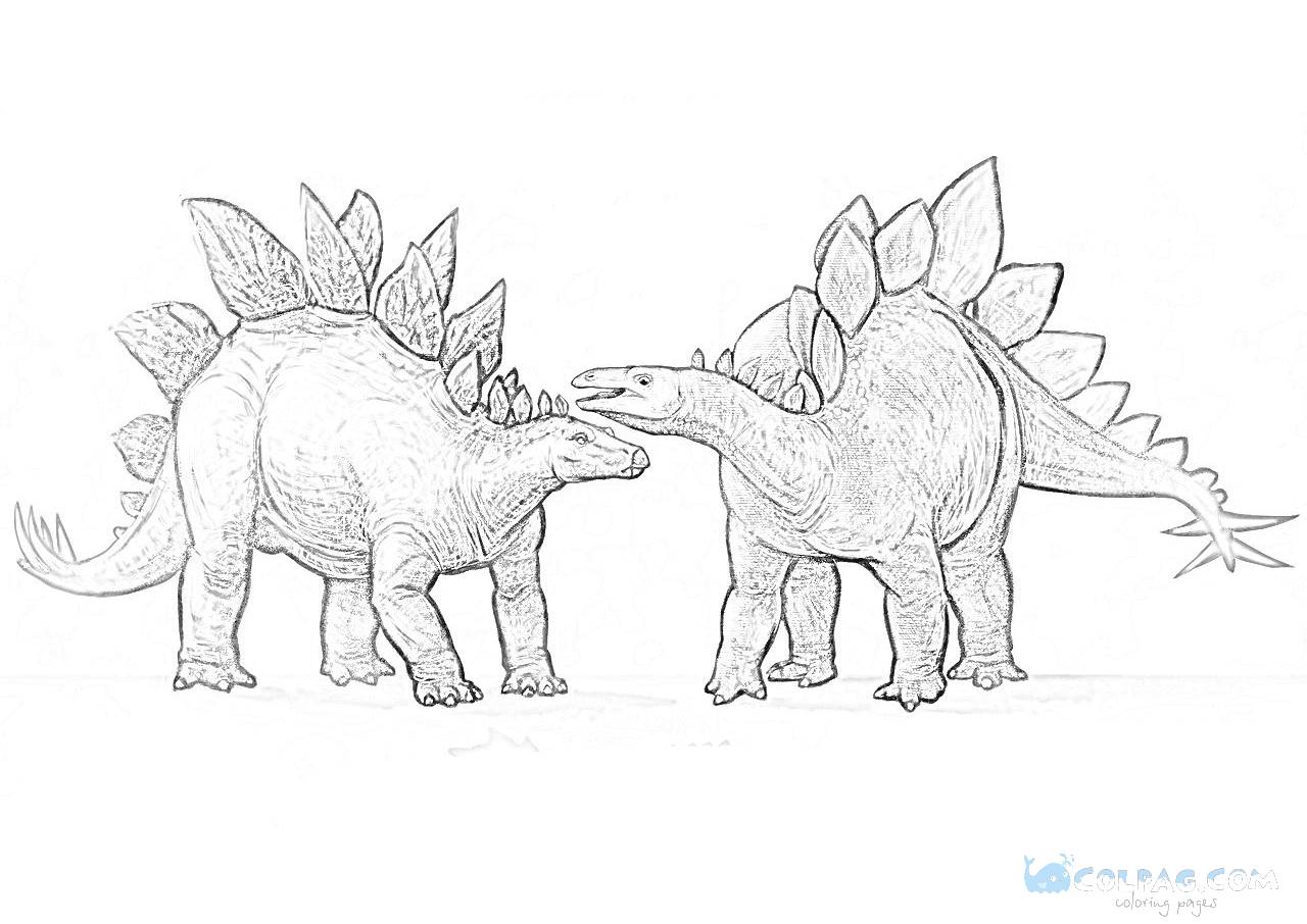 Stegosaurus Printable Coloring Pages