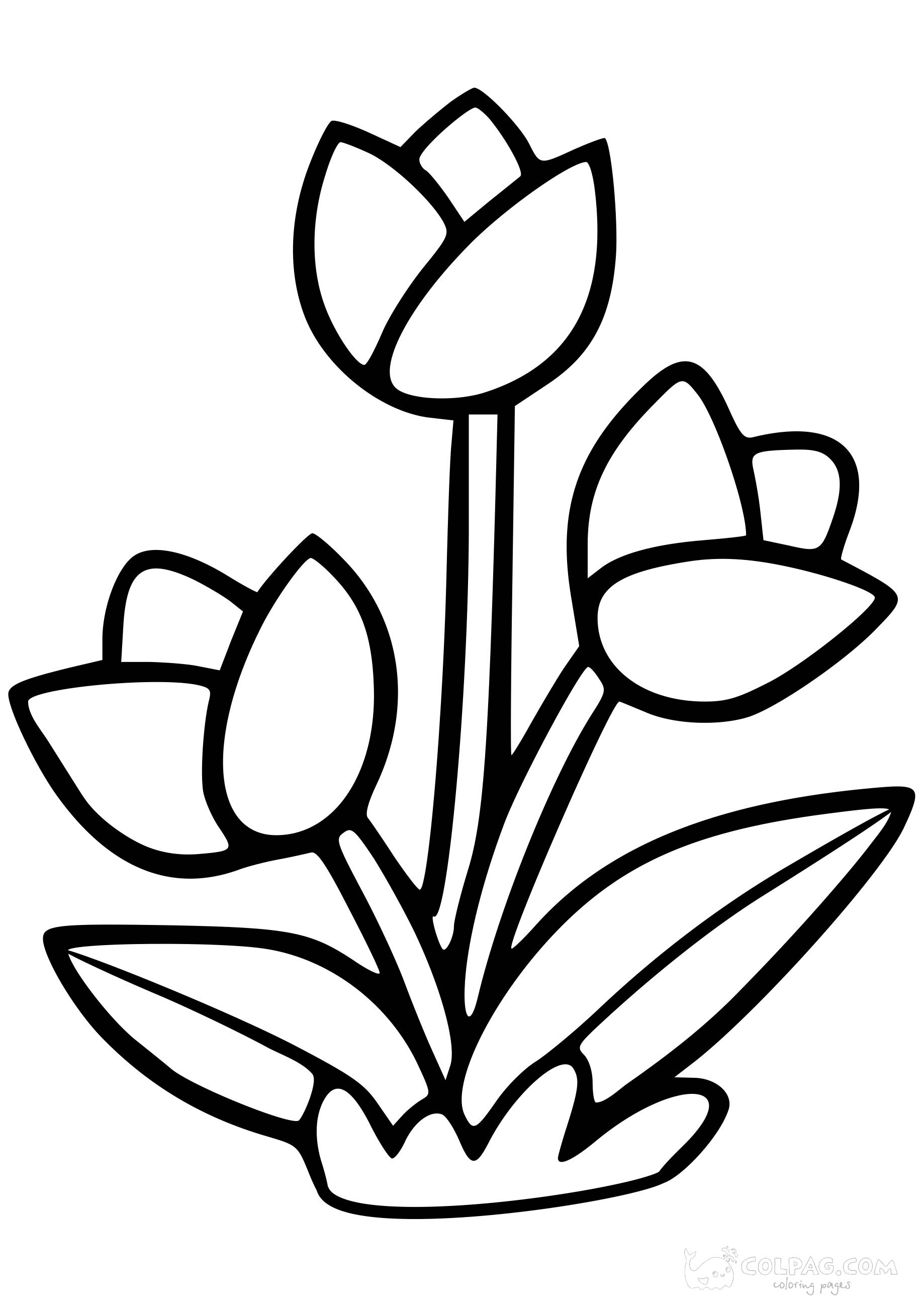 tulip-colpag-coloring-page-15