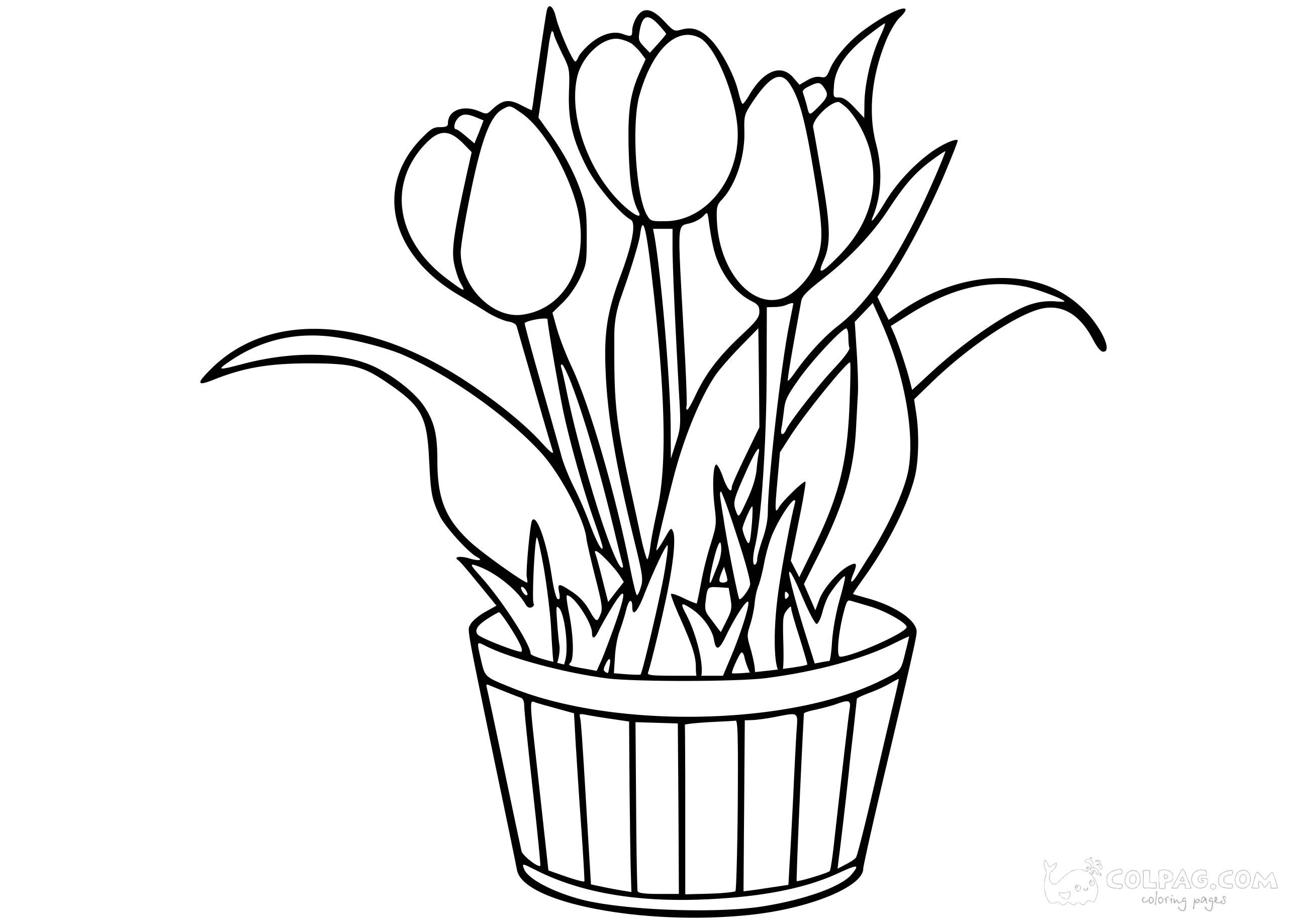 tulip-colpag-coloring-page-18