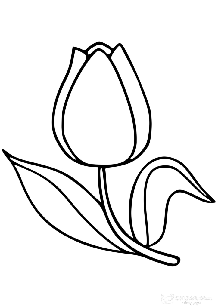 Kolorowanki z tulipanami do wydrukowania za darmo 