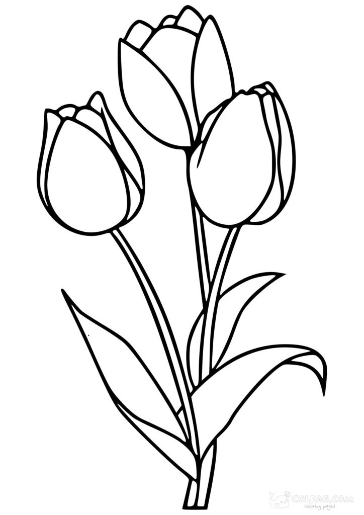 Tulipes coloriages gratuits à imprimer 