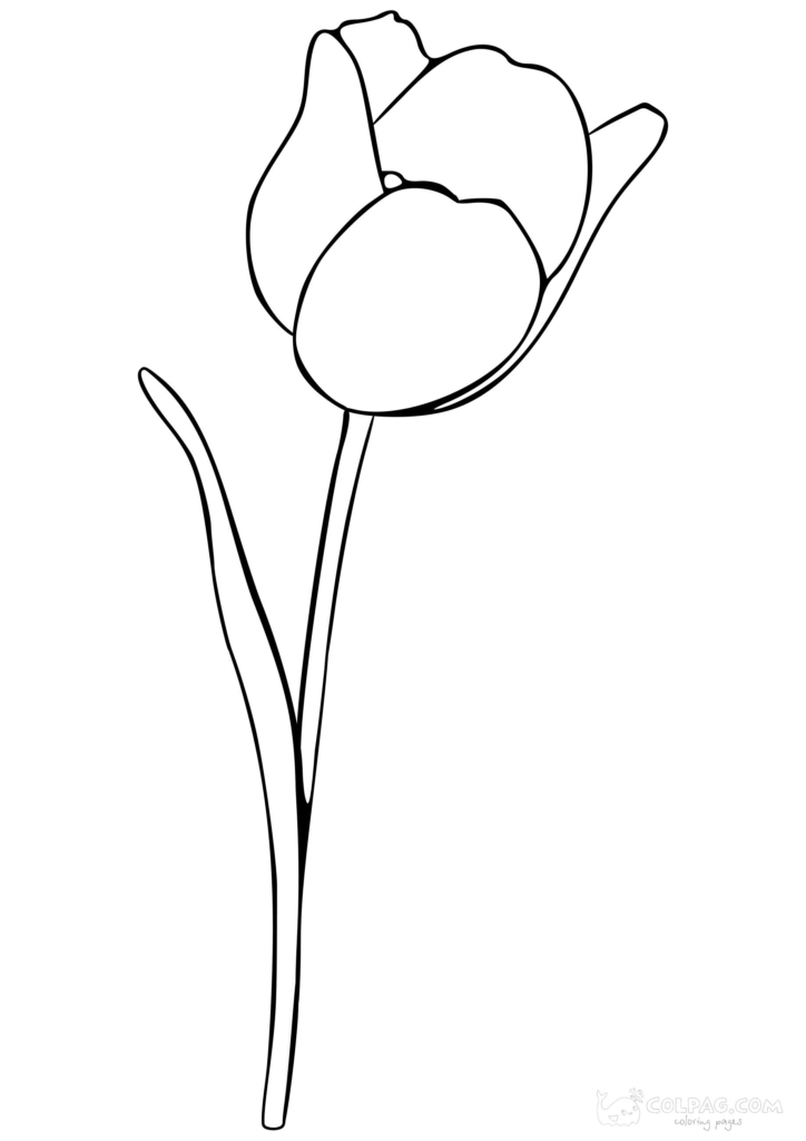 Disegni di tulipani da colorare gratuiti stampabili