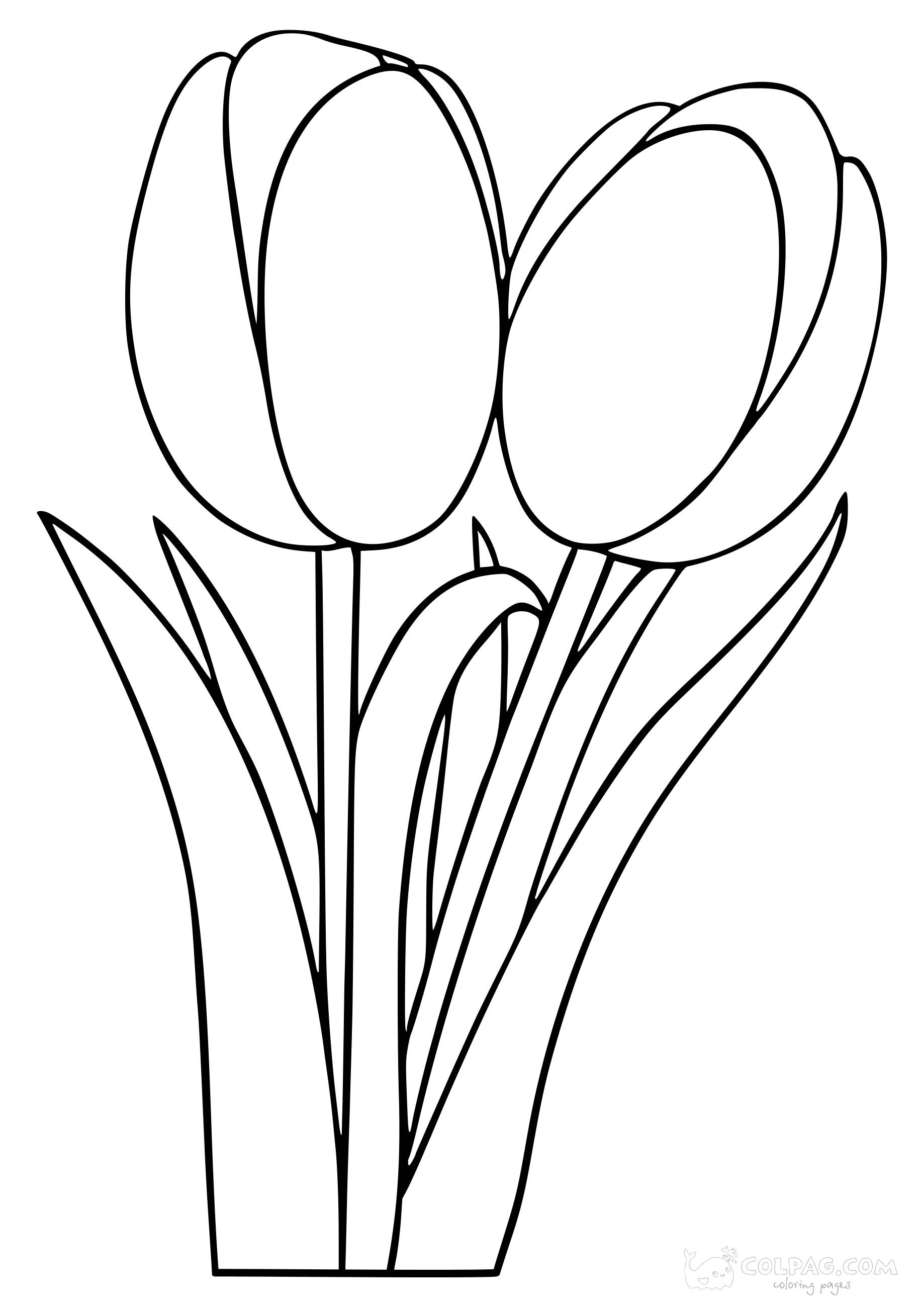 tulip-colpag-coloring-page-38