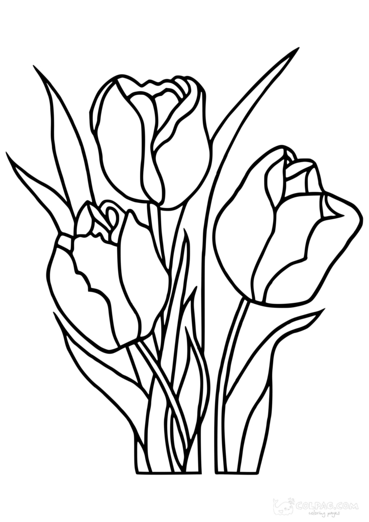 Ausmalbilder von Tulpen zum ausdrucken