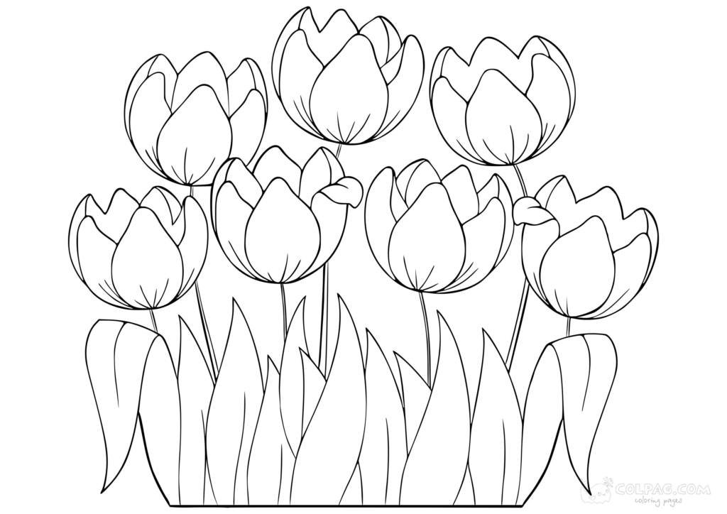 Tulipes coloriages gratuits à imprimer 