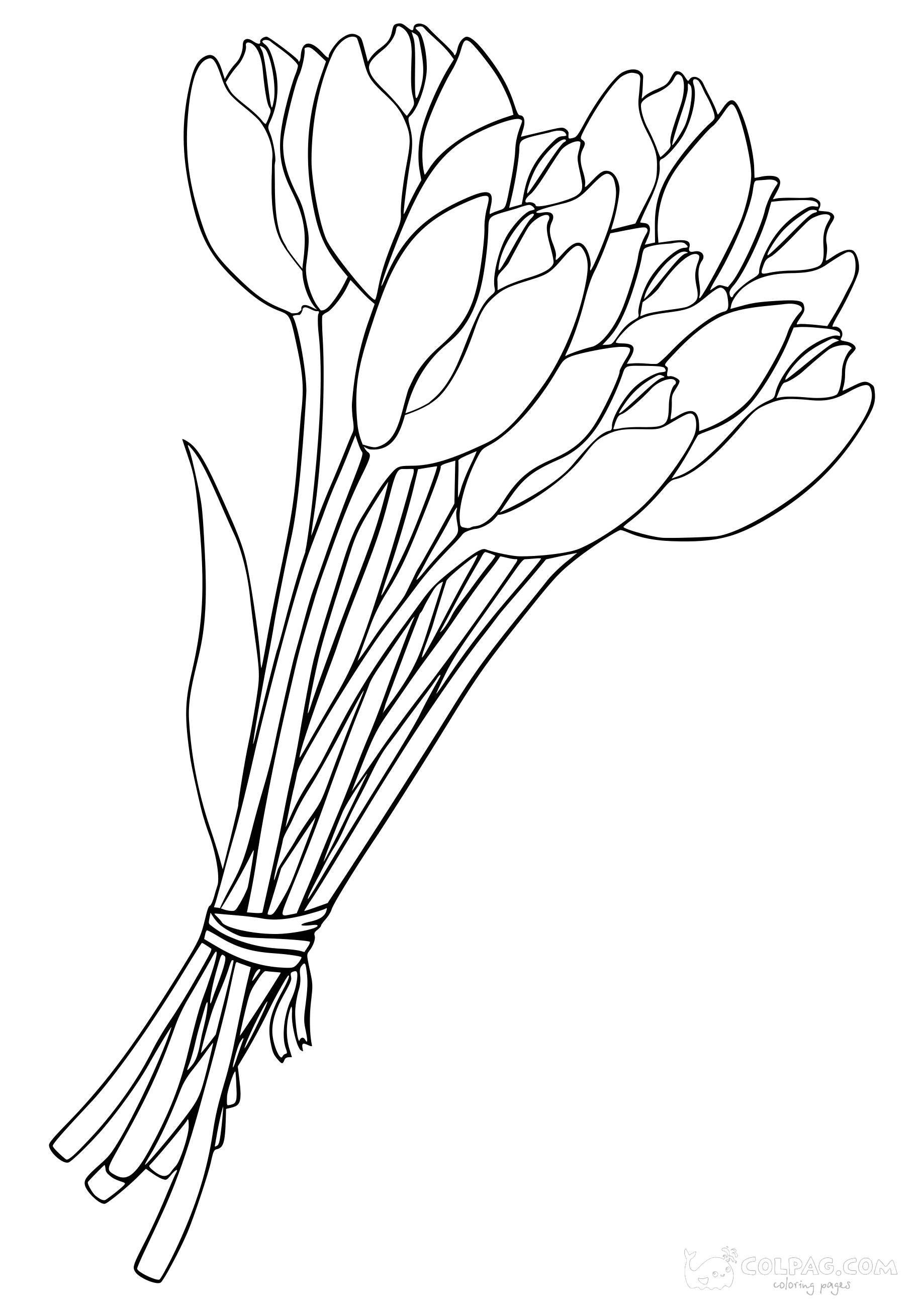 tulip-colpag-coloring-page-47