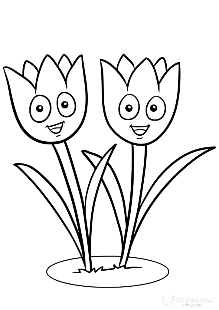 Disegni di tulipani da colorare gratuiti stampabili
