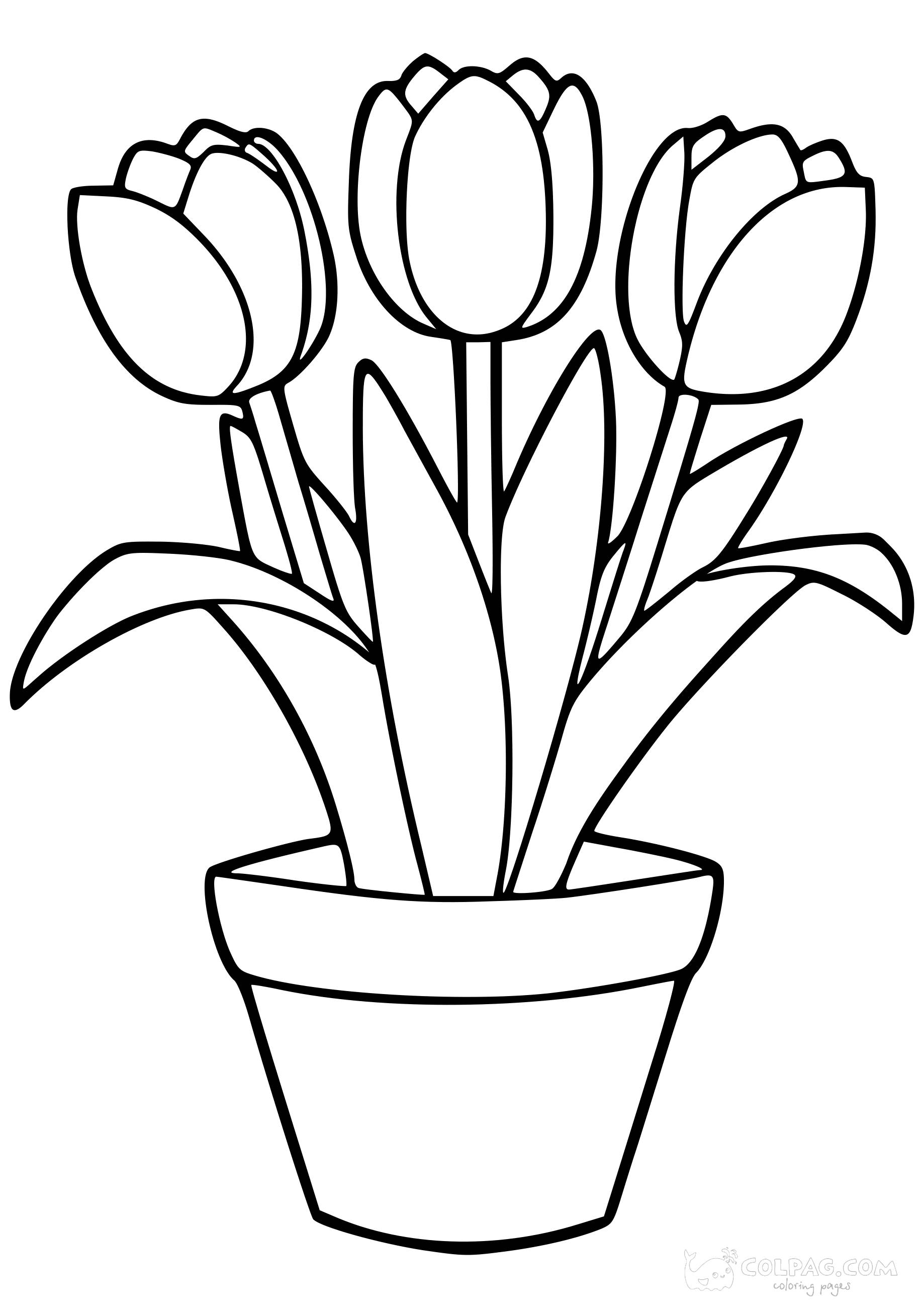 tulip-colpag-coloring-page-50