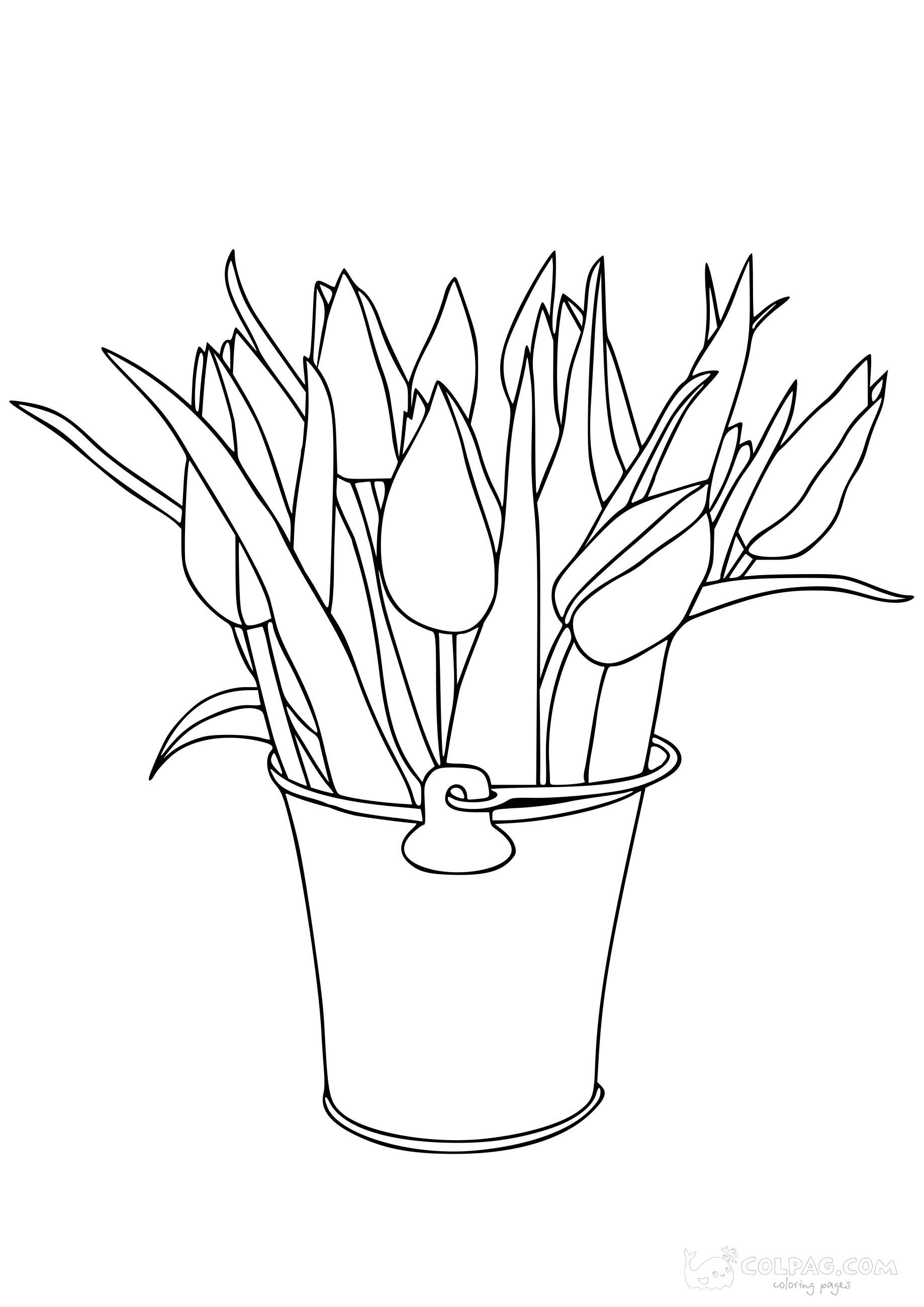 tulip-colpag-coloring-page-53