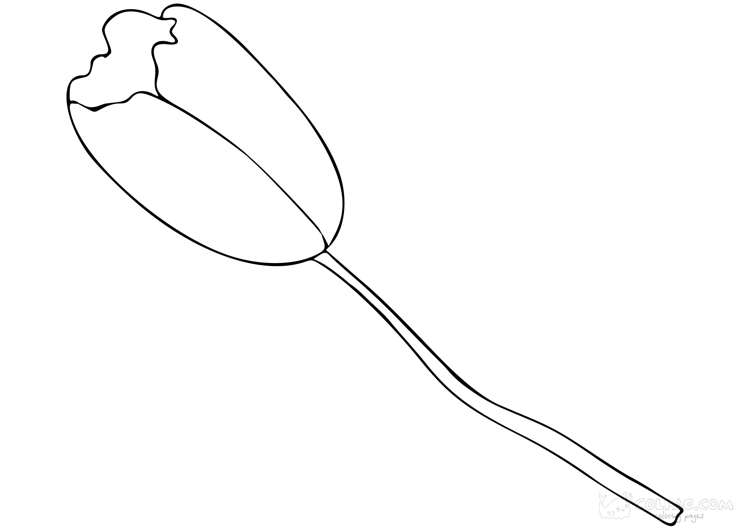 tulip-colpag-coloring-page-55