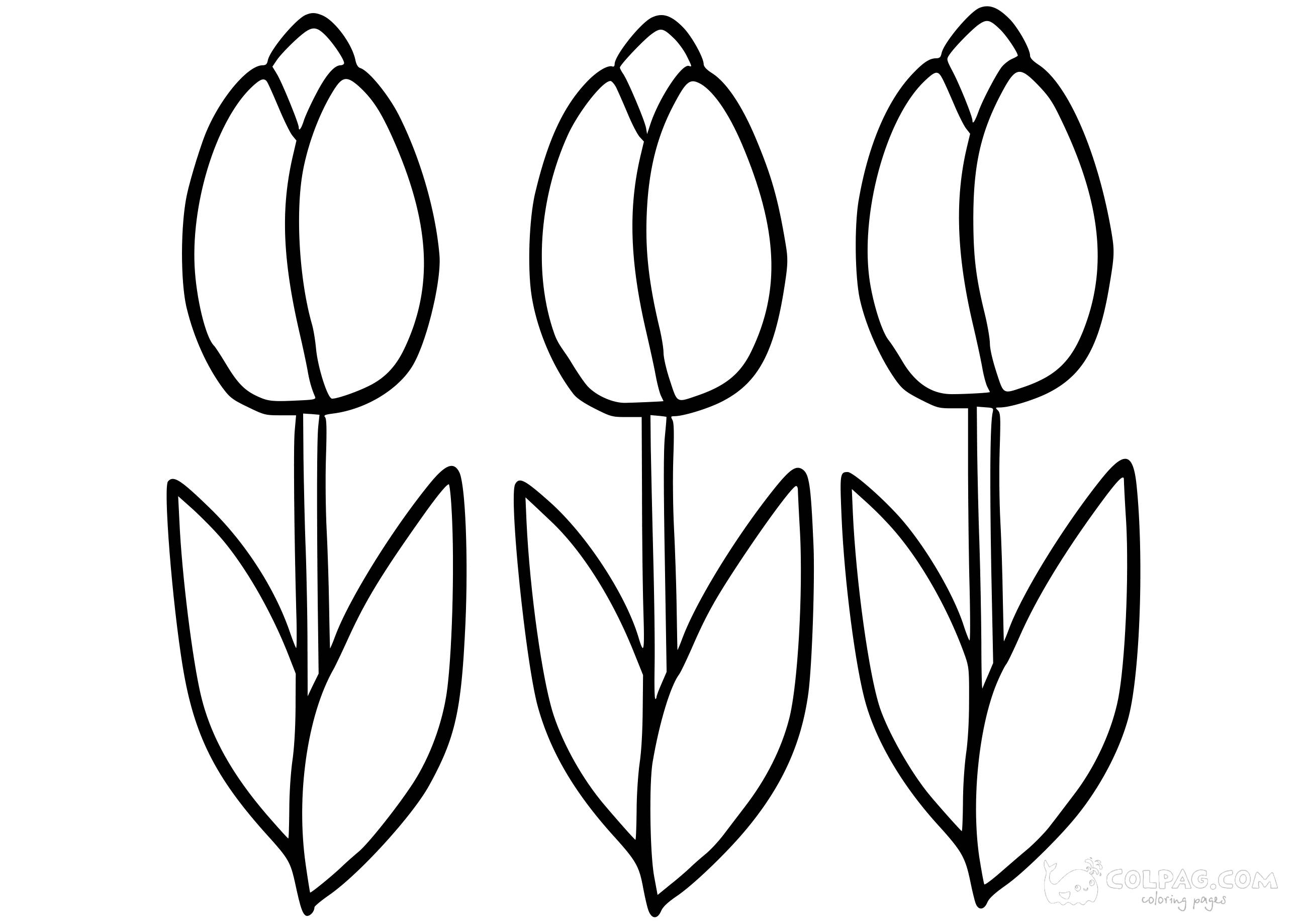tulip-colpag-coloring-page-62