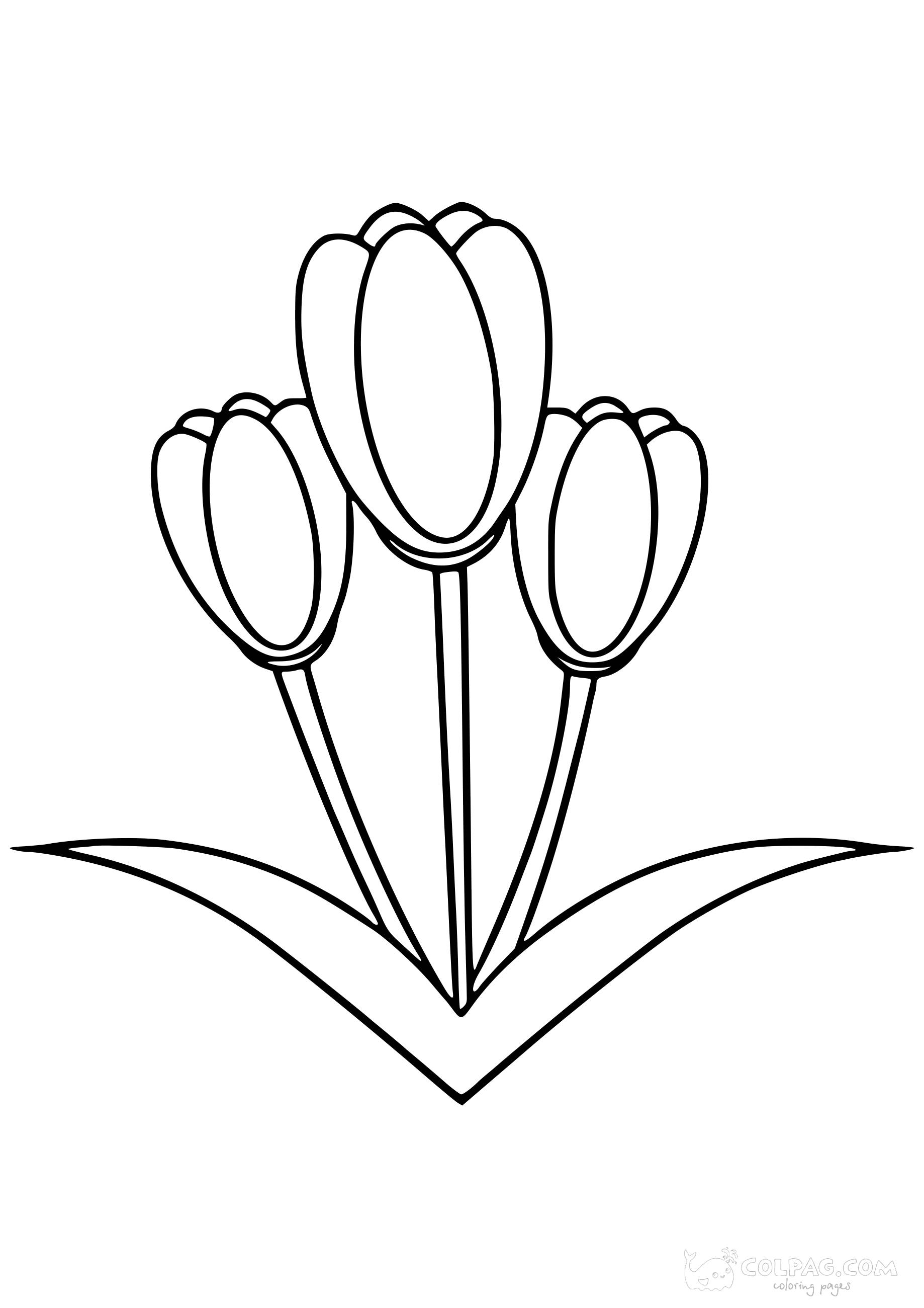 tulip-colpag-coloring-page-65