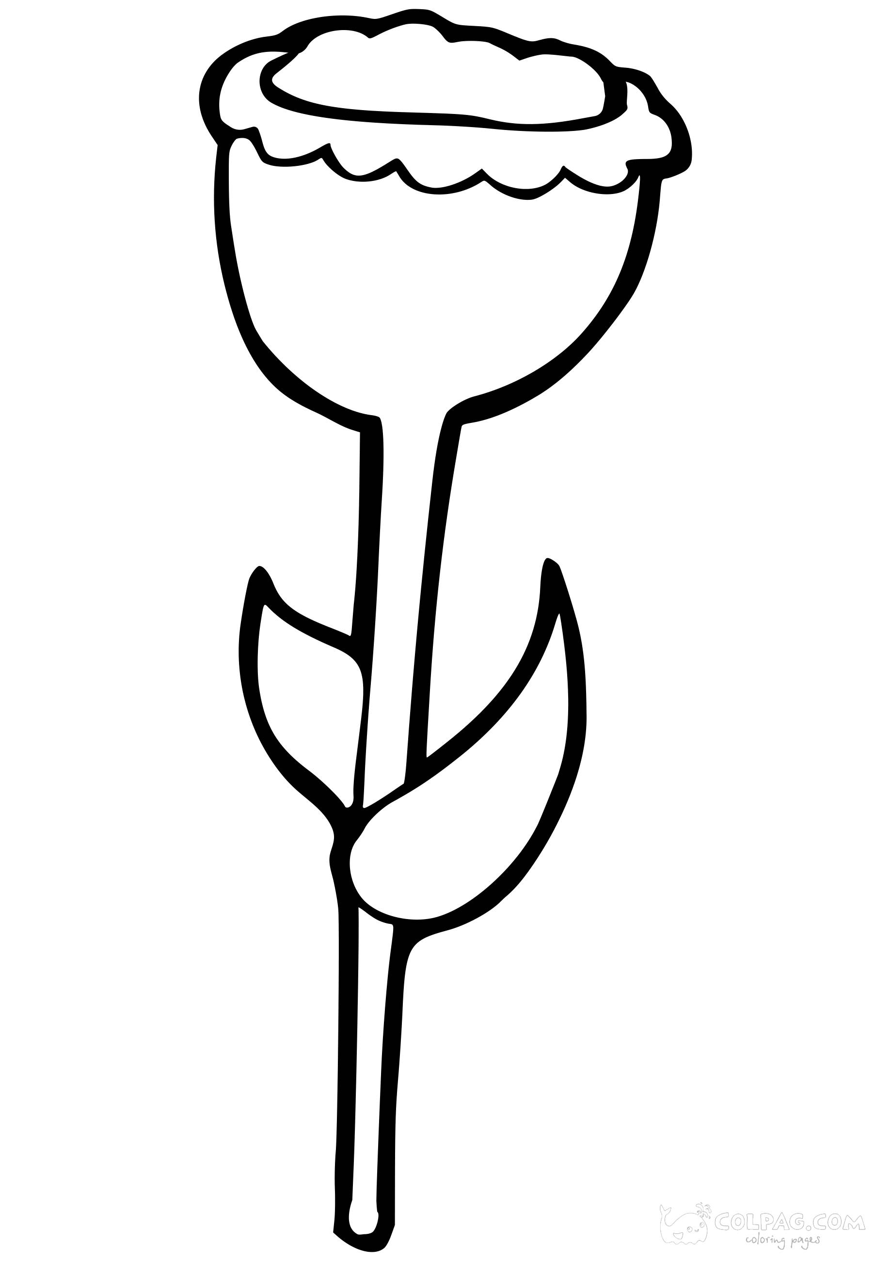 tulip-colpag-coloring-page-66