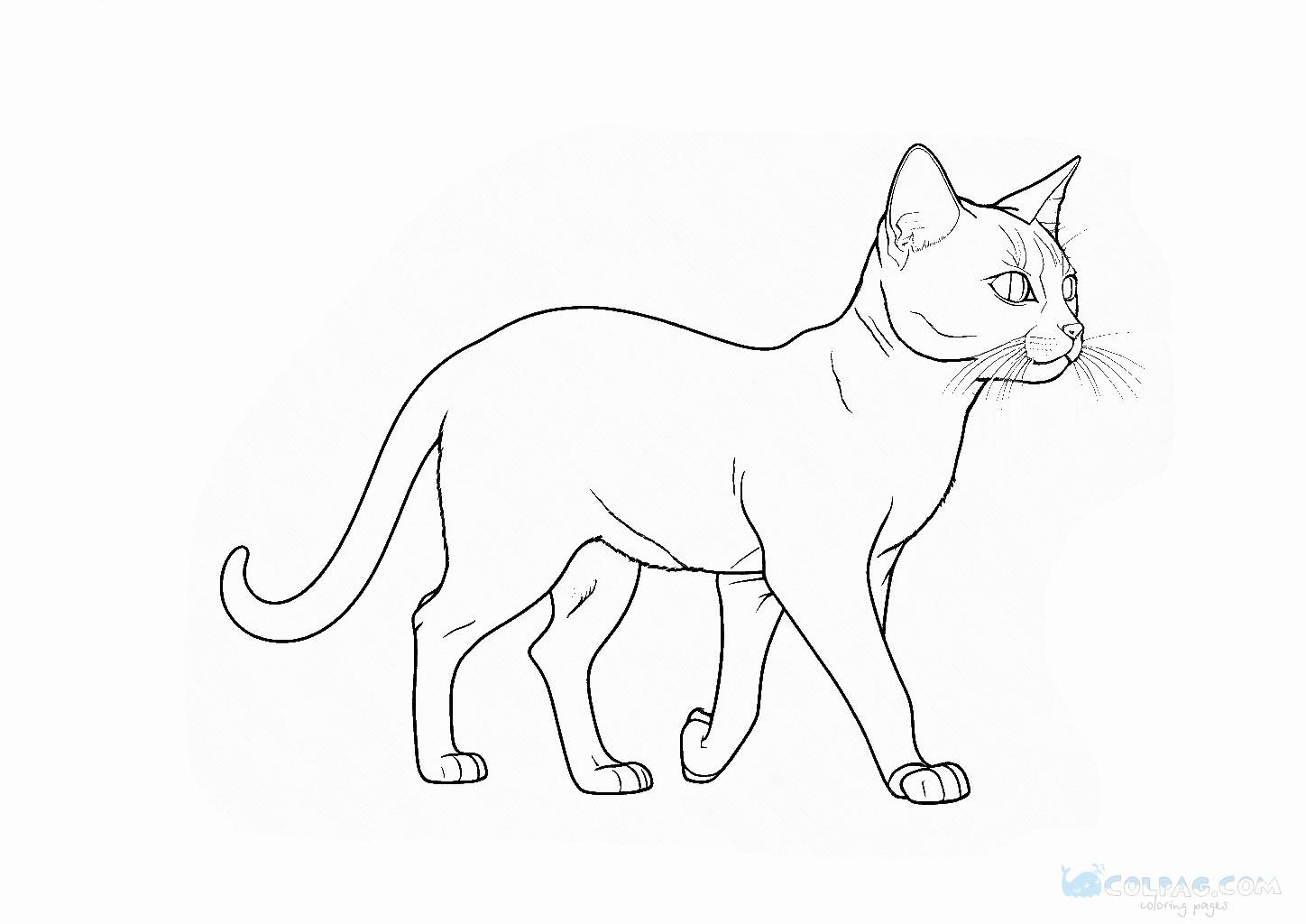 Coloring Pages of Cats to Print Online
