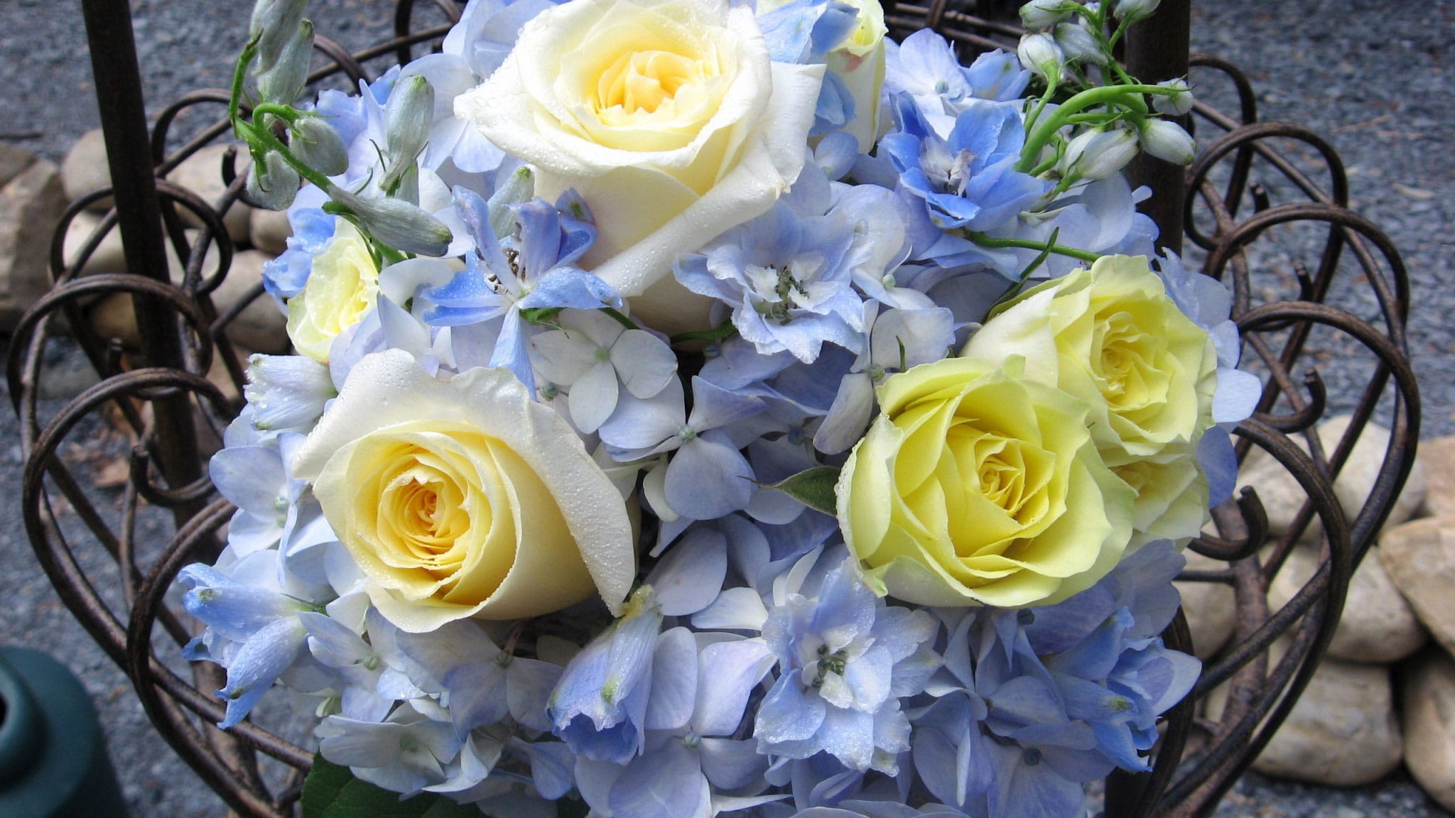 Fotky krásných květinových kytic. 80 kvalitních obrázků zdarma