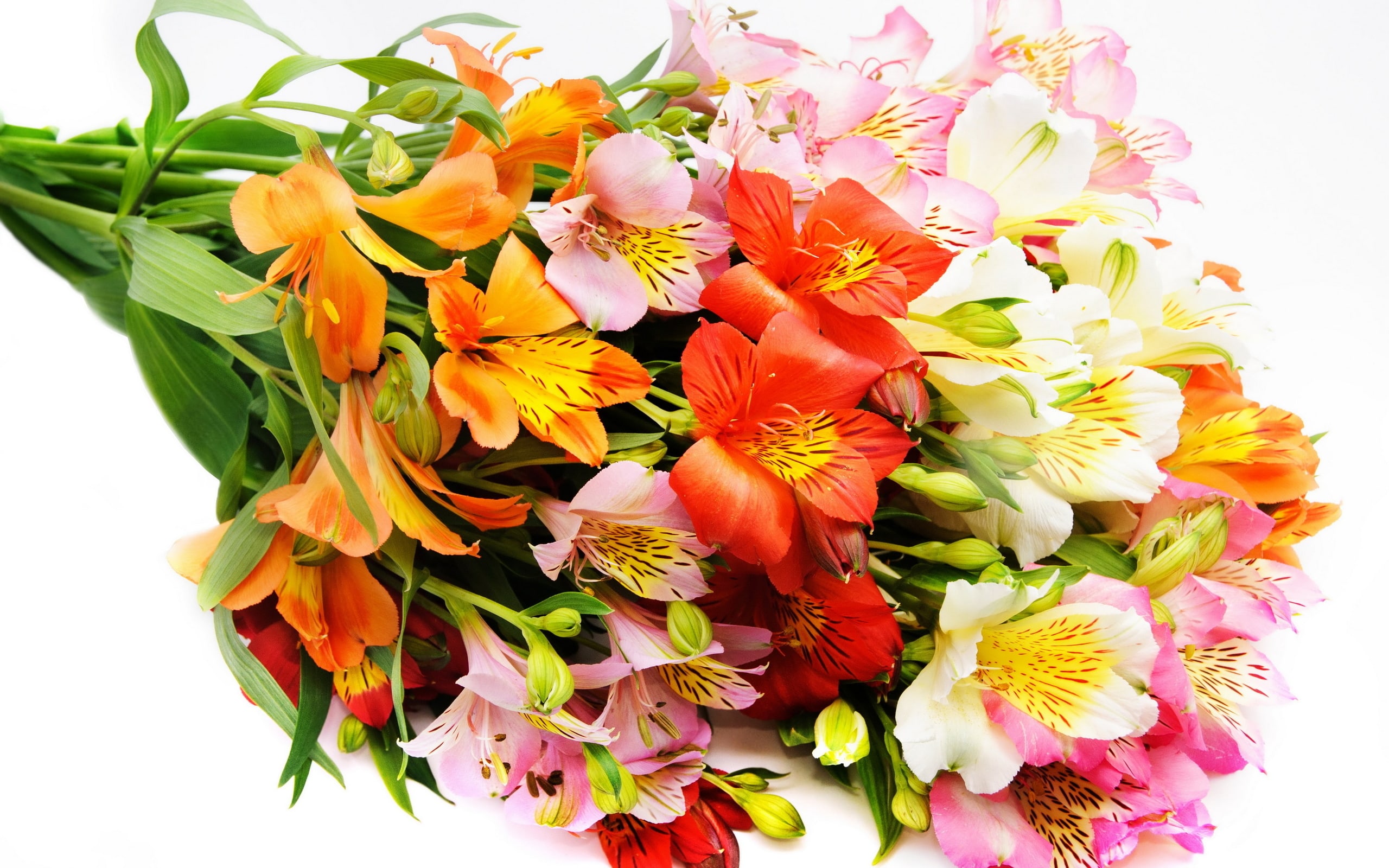 花の美しい花束の写真。80枚の見事な写真