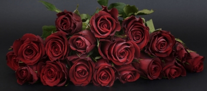 Fotos de rosas. 130 fotos de lindos buquês em alta resolução