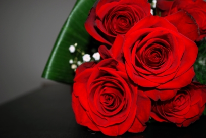 Fotos de rosas. 130 fotos de lindos buquês em alta resolução