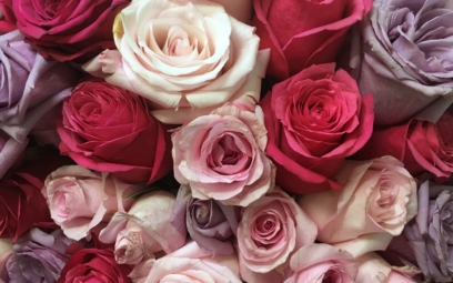 Zdjęcia róż. 130 zdjęć pięknych bukietów w wysokiej rozdzielczości