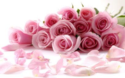 Fotos von Rosen. 130 Bilder von schönen Rosensträußen