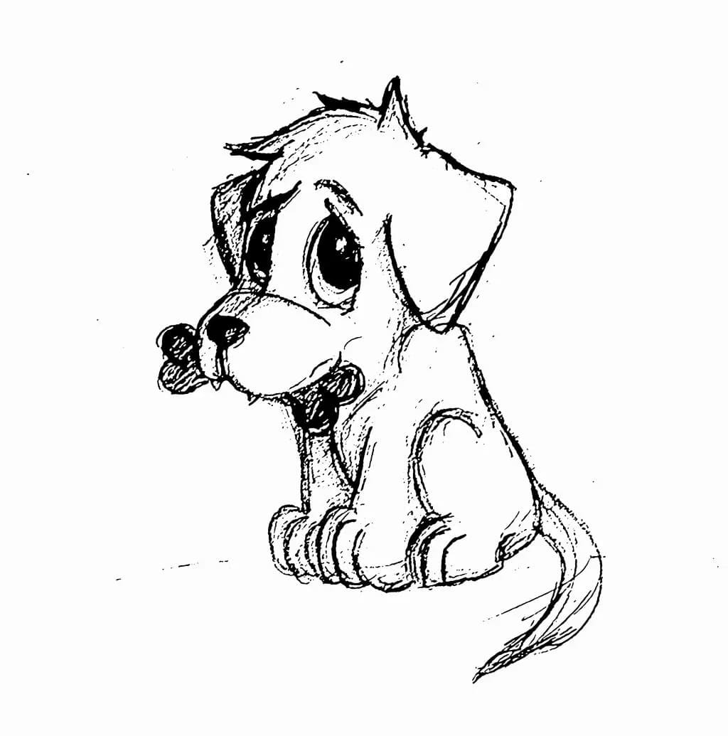 Нарисовать собаку карандашом легко и красиво. Рисунок собаки для срисовки. Щенки для срисовки карандашом. Картинки собак для срисовки. Собака рисунок карандашом.