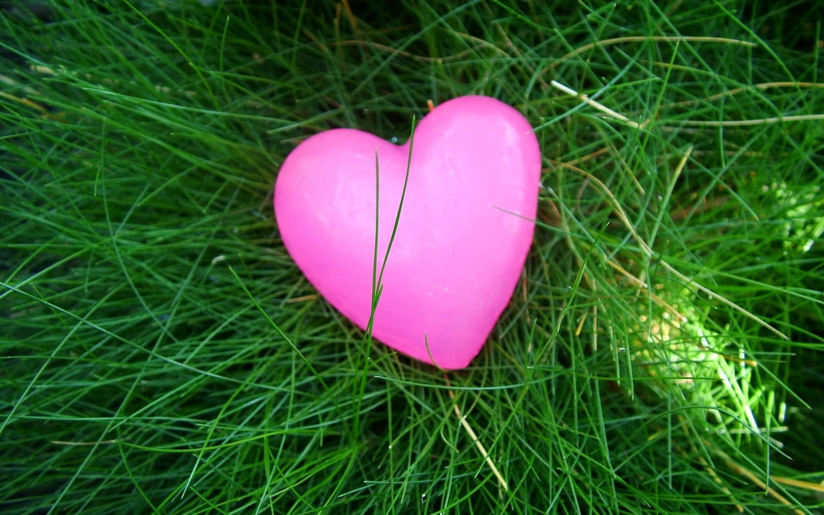 Beautiful Images of Hearts - 240 High-Quality Photos for Free