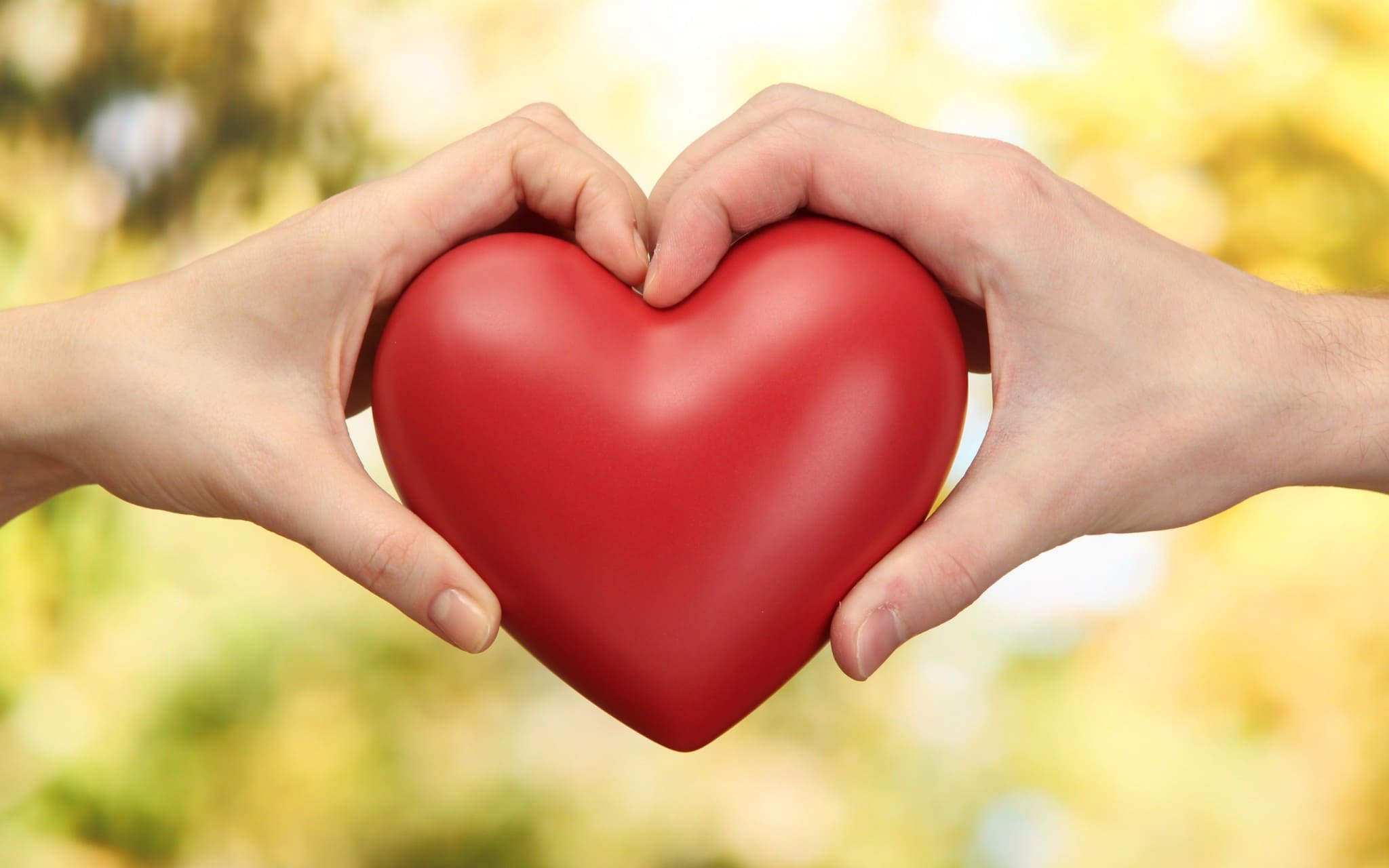 Beautiful Images of Hearts - 240 High-Quality Photos for Free