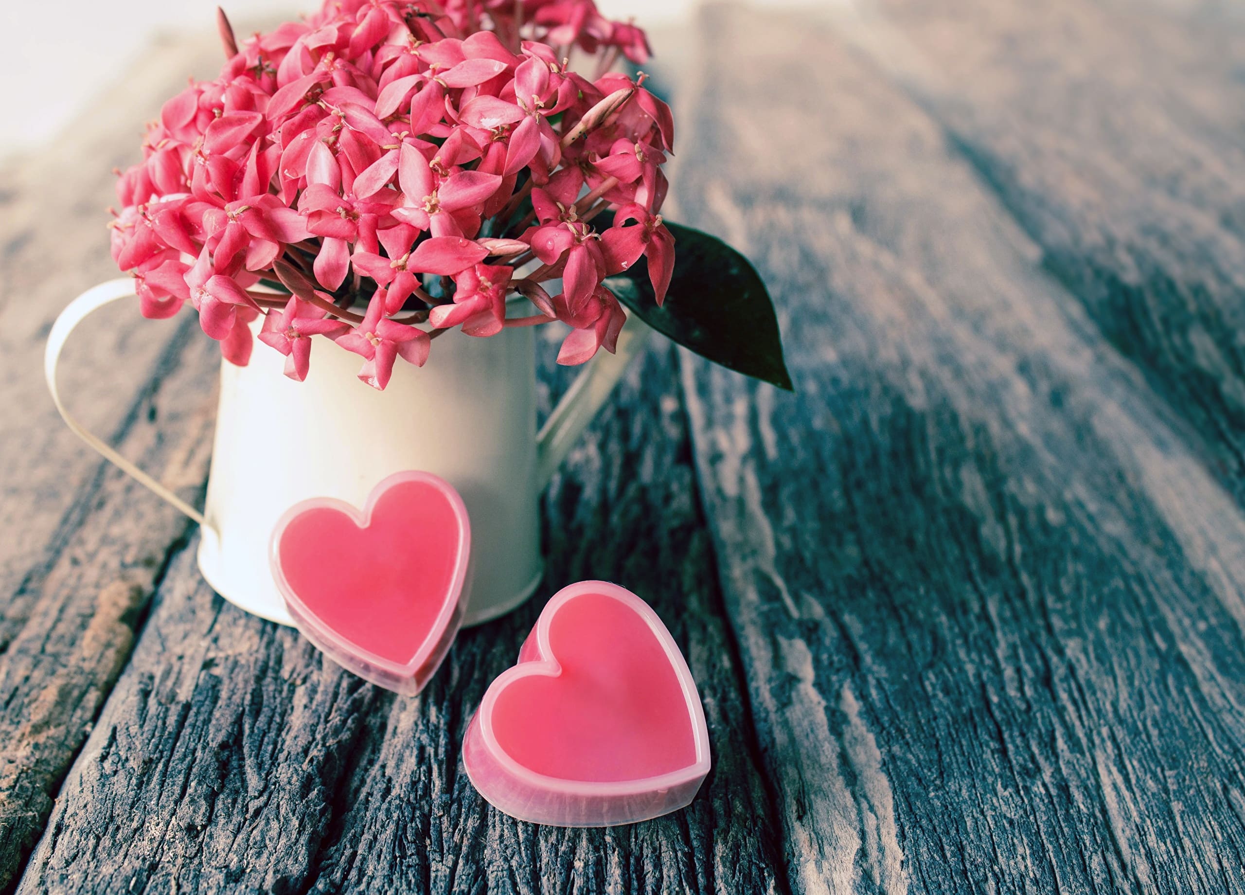 Beautiful Images of Hearts - 240 High-Quality Photos for Free