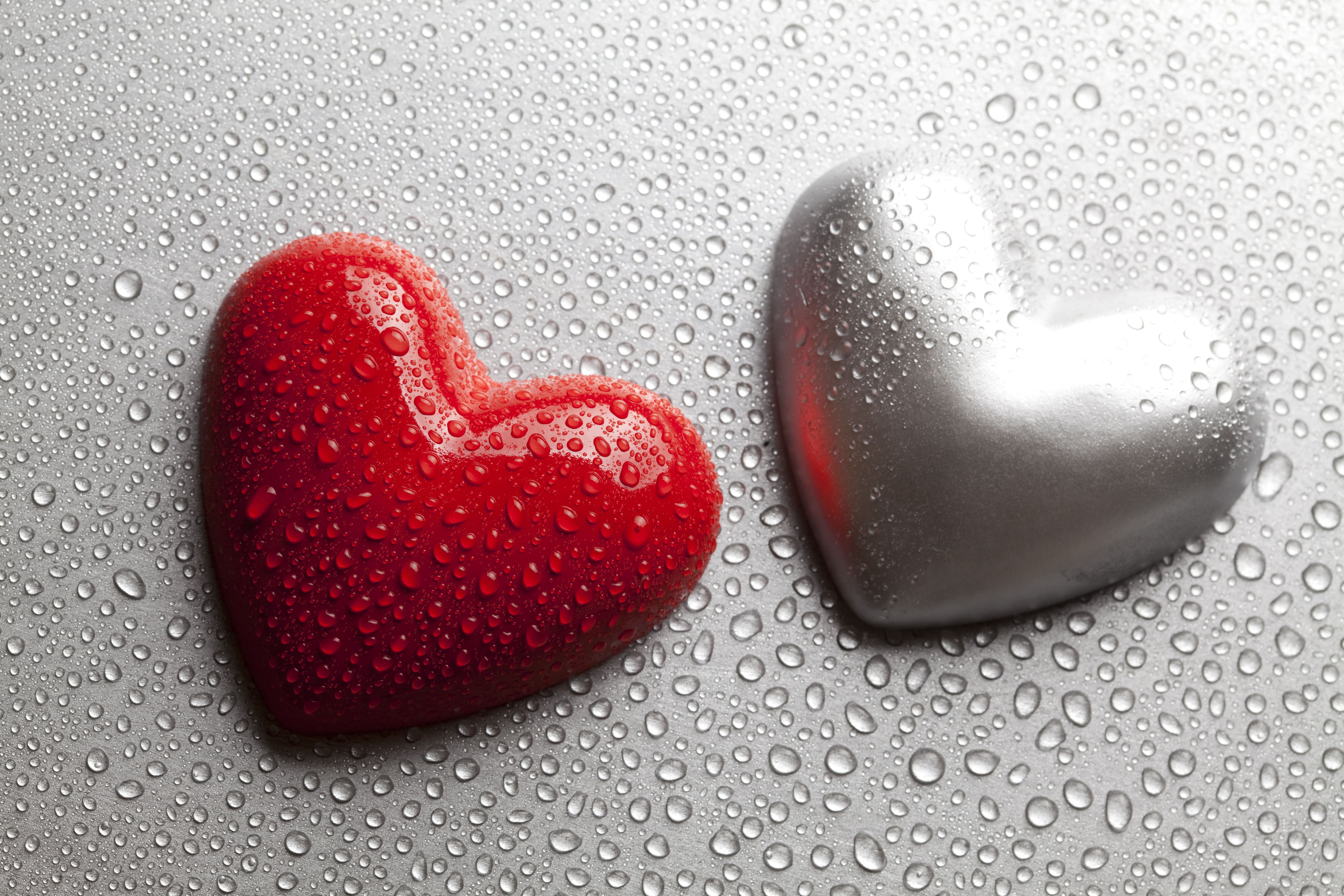 Beautiful Images of Hearts - 240 High-Quality Photos for Free